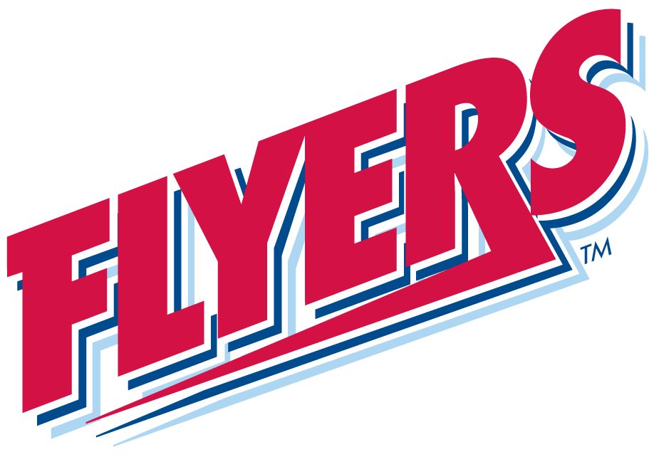 Dayton Flyers 1995-2013 Wordmark Logo v2 DIY iron on transfer (heat transfer)